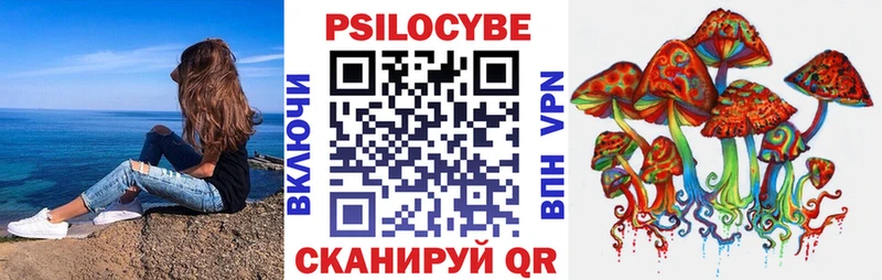 Псилоцибиновые грибы Cubensis купить наркотик Туапсе